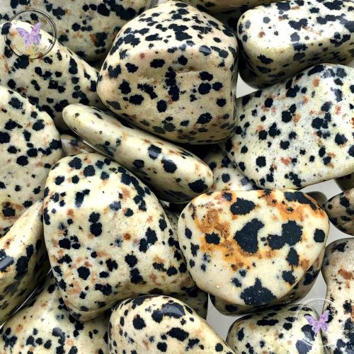 Dalmation Jasper Tumble Stone